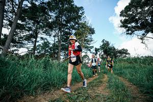 BIB: 
                            <button type="button" onclick="openModal(26042896)" class="btn btn-primary btn-sm float-right btn-popup" data-toggle="modal" data-target=".modal-high-quality">
                        <i class="fas fa-shopping-cart"></i> Add to Cart
                    </button>
                                            <button type="button" onclick="isThisMe(26042896, true)" class="btn btn-success btn-sm float-right btn-popup btn-isme hidden" data-toggle="tooltip" data-placement="bottom" title="นี่คือรูปของคุณใช่ไหม คลิกที่นี่เพื่อเอาเข้าอัลบั้ม">
                        <i class="fas fa-plus"></i> Add to album
                    </button>
                    <button type="button" onclick="isThisMe(26042896, false)" class="btn btn-warning btn-sm float-right btn-popup btn-isnotme hidden">
                        <i class="fas fa-ban"></i> Remove from album
                    </button>